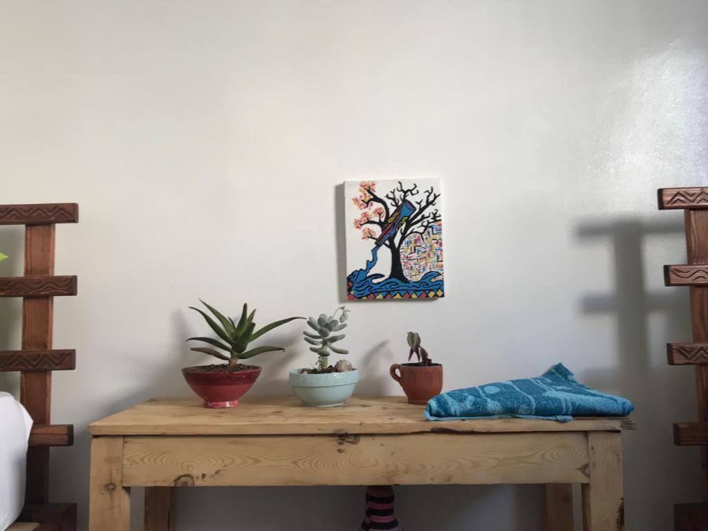 タガズー Binic Surf House Bed & Breakfast エクステリア 写真