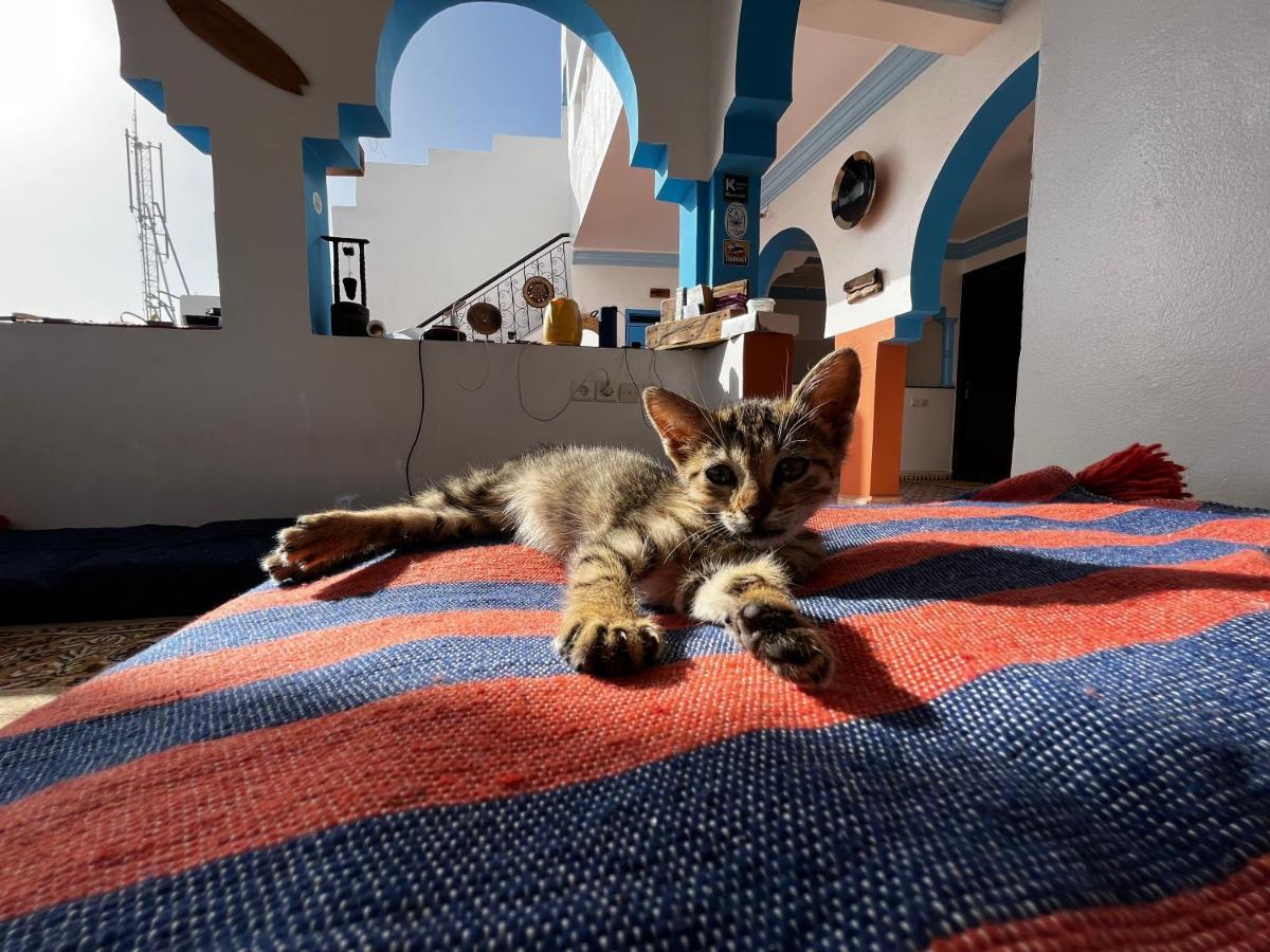 タガズー Binic Surf House Bed & Breakfast エクステリア 写真